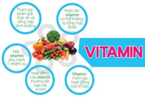 Vitamin là gì?