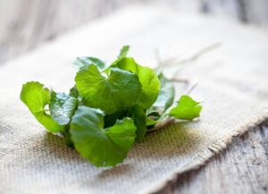 ăn rau má có thanh nhiệt