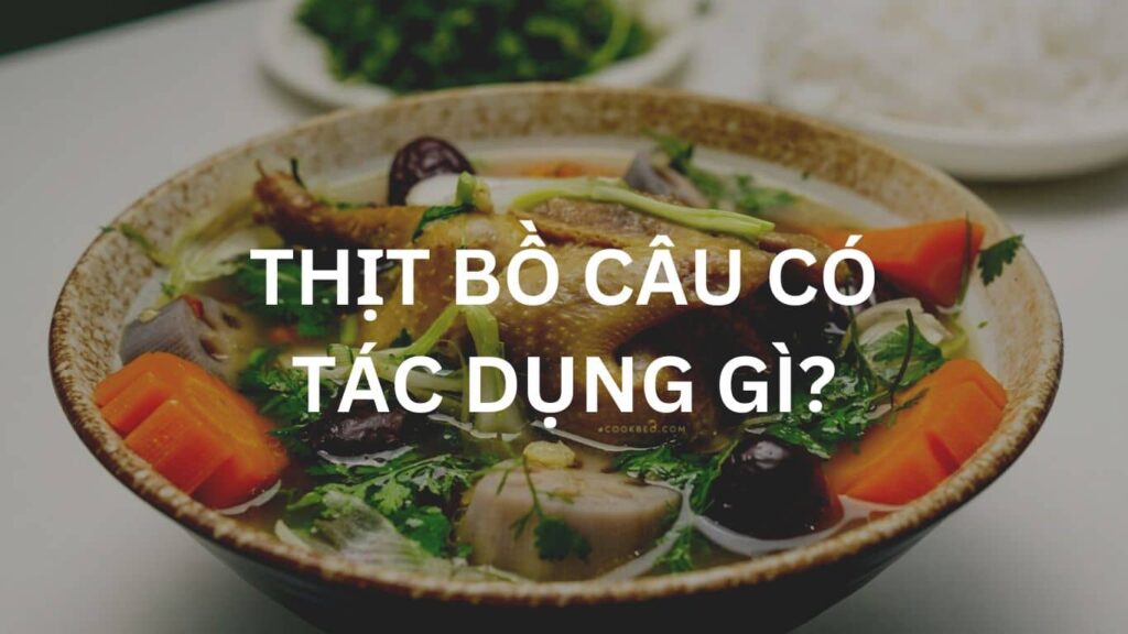 thịt bồ câu có tác dụng gì